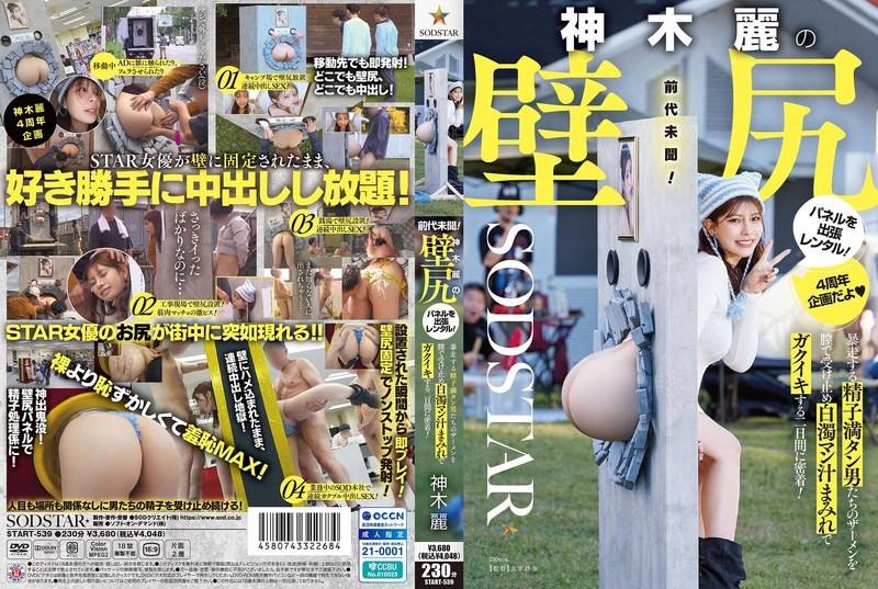 START-539 จับเสียบกำแพงโดนแทงสองวัน Rei Kamiki